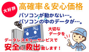 大好評 高確率＆安心価格 パソコンが動かない パソコンの中のデータが… 大切なデータをデータレスキューで安全に救出致します。